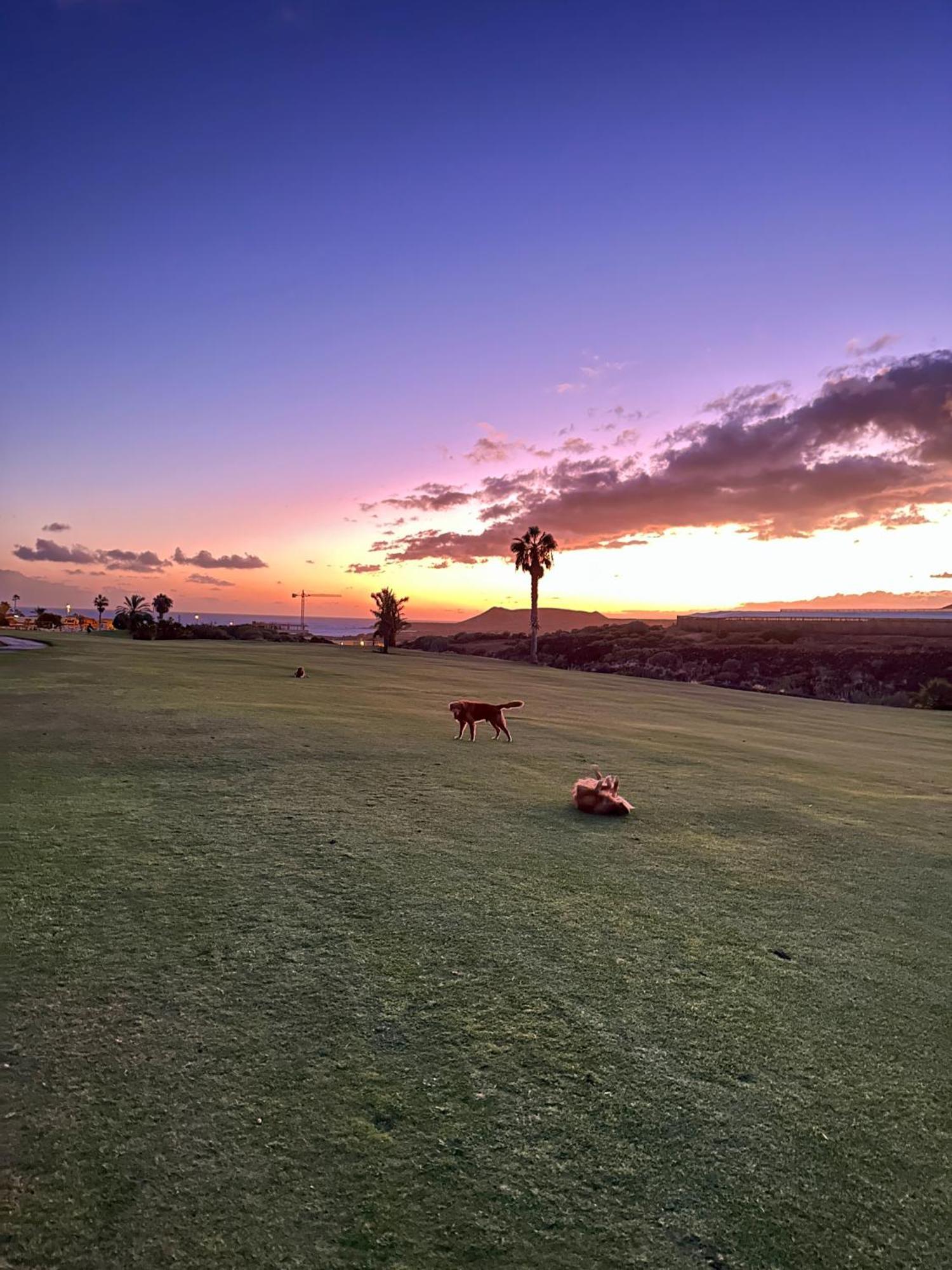 Tenerife Holidays Costa Adeje  ภายนอก รูปภาพ
